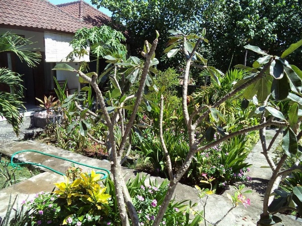 Kadek Homestay Amed image 10