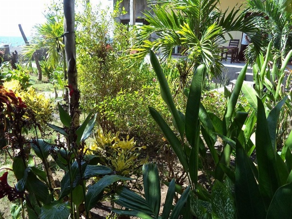 Kadek Homestay Amed image 12