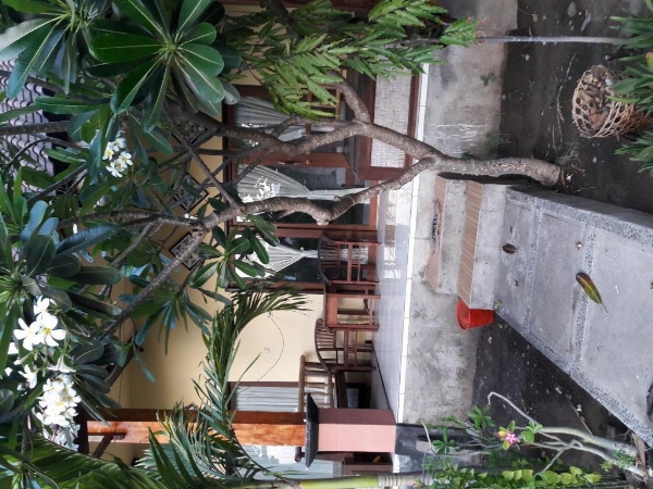 Kadek Homestay Amed image 30